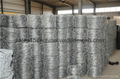 PVC/Galvanized Barbed Wire From Stock 4