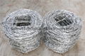 PVC/Galvanized Barbed Wire From Stock 5