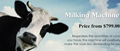  Portable Milker Electric Milk Machine Cow & Goat Milking Machine 220V $799.00 2