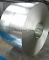 Q195 Q235 Q345 GI Galvanized Steel Strip 1