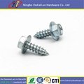 Hex Washer Head Clear Zinc Self Tapping Screw