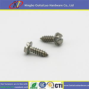 Slotted Hex Washer Head Sheet Metal Screw