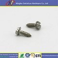 Slotted Hex Washer Head Sheet Metal Screw 1