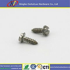 Slotted Hex Washer Head Sheet Metal Screw