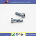 Torx Pan Head WN 1452 Plastic PT Screws