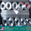 Galvanized Welded Wire Mesh ISO9001