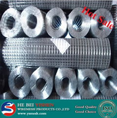 Galvanized Welded Wire Mesh ISO9001