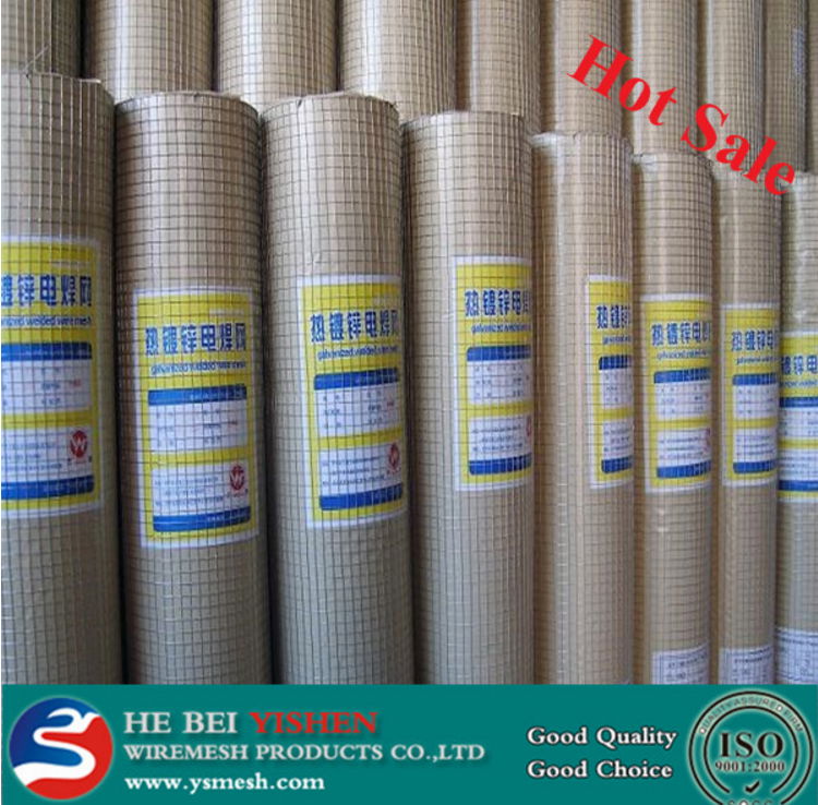 Galvanized Welded Wire Mesh ISO9001 2