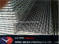 Galvanized Welded Wire Mesh ISO9001 2