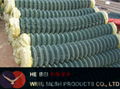 Galvanized Welded Wire Mesh ISO9001 4