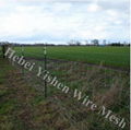 Hot Selling High Quality Galvanized Deer Fence 2