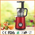 LWJ-801C  Masticating Slow Juicer 1