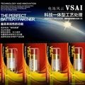 Supply VSAI genuine 10A9V alkaline batteries 3