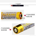 Supply VSAI genuine 27A12V alkaline batteries 3
