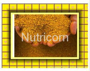 Feed Grade Corn Gluten Meal 3