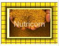 Feed Grade Corn Gluten Meal 3