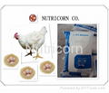 Feed Grade Dicalcium Phosphate (DCP/MDCP/MCP) From Nutricorn, China 1