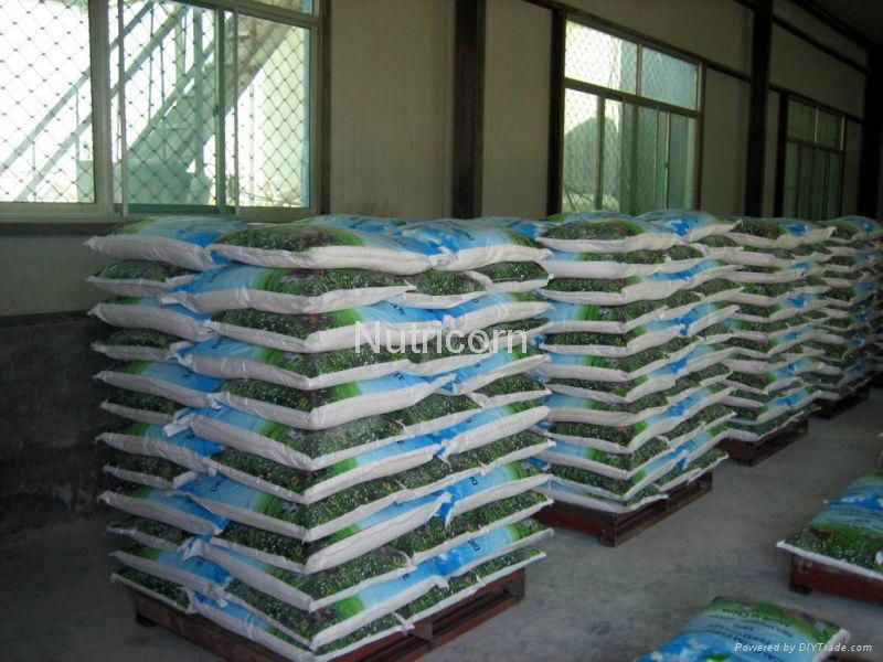 Feed Grade Dicalcium Phosphate (DCP/MDCP/MCP) From Nutricorn, China 3