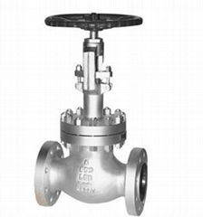 ANSI Cast Steel Bolt-jointed Bonnet Flanged Globe Valves