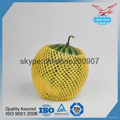 Made in China Bottle and Fruit Protective Sleeve Net