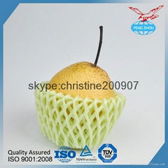 China Factory FDA Test Foam Plastic Fruit Packaging