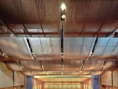 Decorative Metal Suspended Ceiling 2