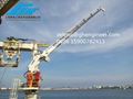 Knuckle Telescopic Boom Crane 1