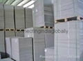 Duplex Board Manufacturers