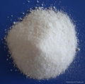 Sodium Sulfphite 2