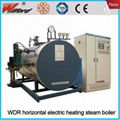 WDR horizontal electric heating steam