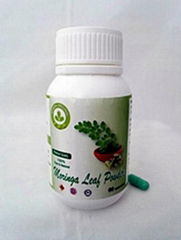 Mason Original Moringa Powder Capsule