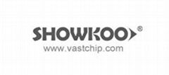 VastChip Industry Co., Ltd 