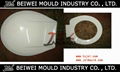 Japanese standard smart ABS toilet seat lid mould  2