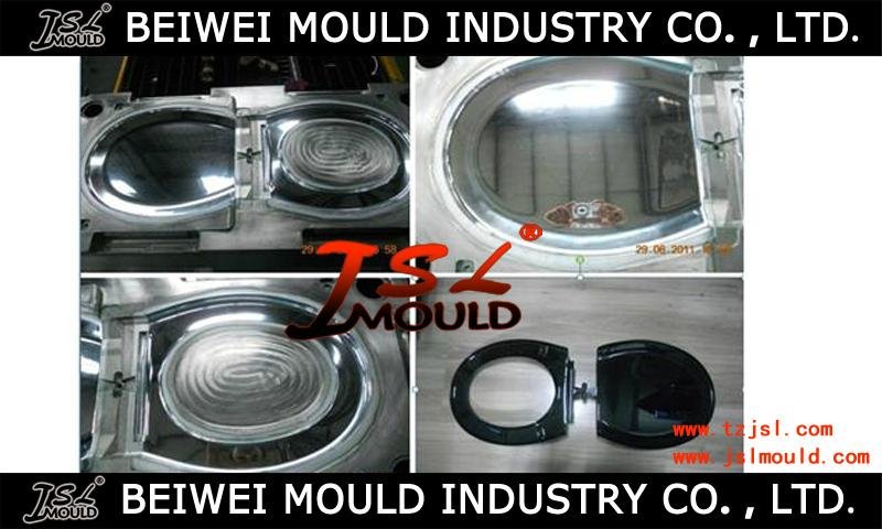 Long lifetime toilet seat cover  mould maker in China  2