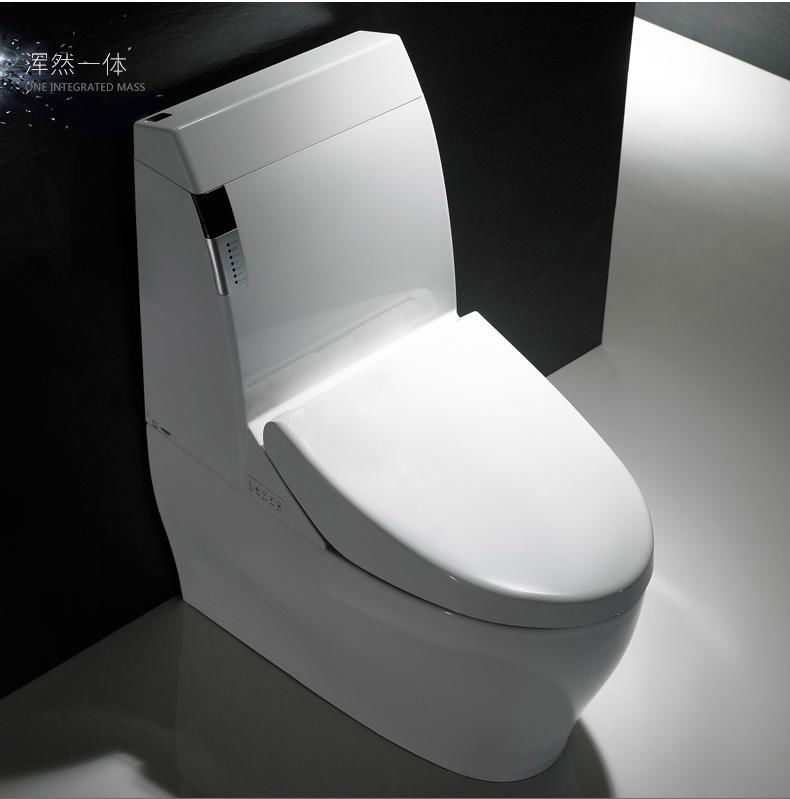 Ceramic sanitary ware smart toilet