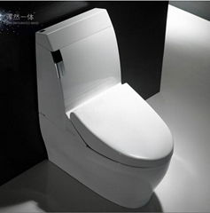 Ceramic sanitary ware smart toilet