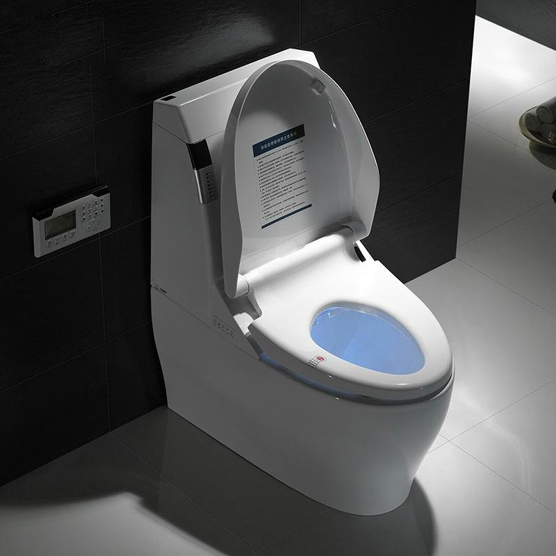 Ceramic sanitary ware smart toilet 2