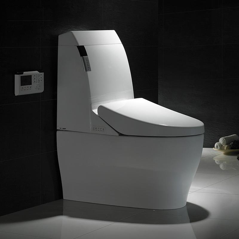 Ceramic sanitary ware smart toilet 4