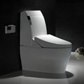 Ceramic sanitary ware smart toilet 4