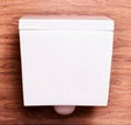 Wall mounted wc toilet ceramic KD-08WT 5