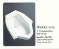 New design bathroom squat wc pan  5