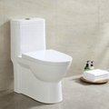 Malaysia all brand procelain toilet bowl KD-T045P