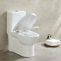 Malaysia all brand procelain toilet bowl KD-T045P 4