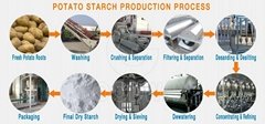 20Tons Per Day Output Potato Starch Processing Machine