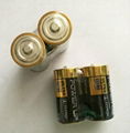 Alkaline dry battery LR14