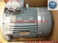 Italy ADDA ELECTRO motor