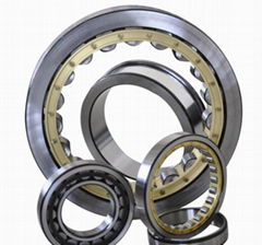 Cylindrical Roller Bearing 