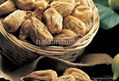 DRIED FIGS  Offer !  4