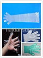 ALL Kinds of Disposable Gloves  !  3