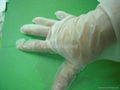 ALL Kinds of Disposable Gloves  !  4